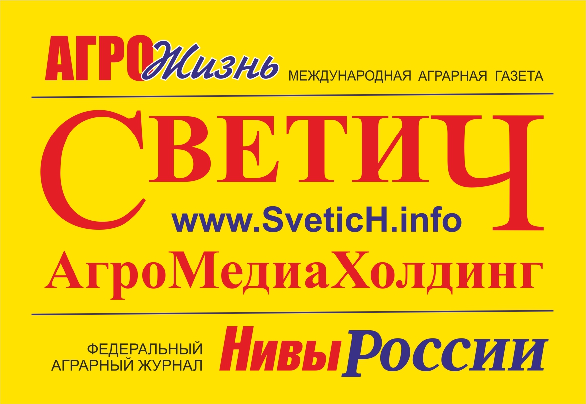 Информационное агентство «Светич»